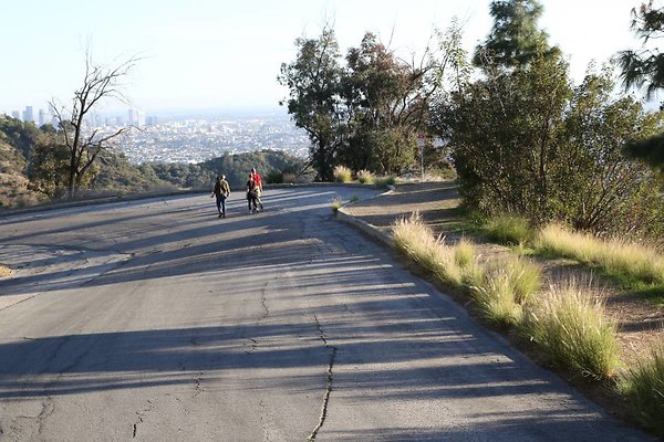 mt-hollywood-dr 096