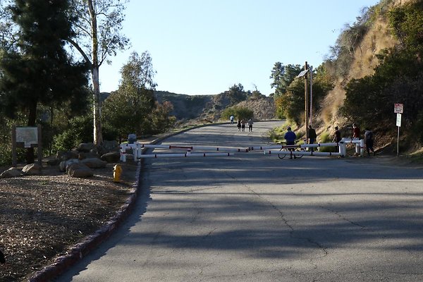 mt-hollywood-dr 004