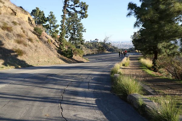 mt-hollywood-dr 094