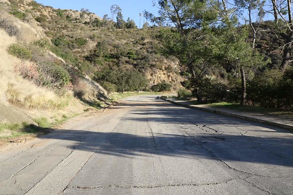mt-hollywood-dr 062