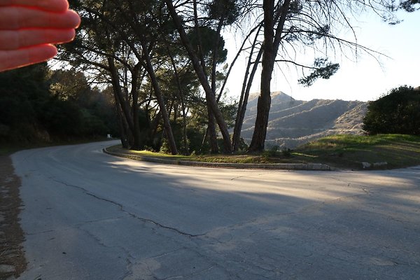mt-hollywood-dr 079