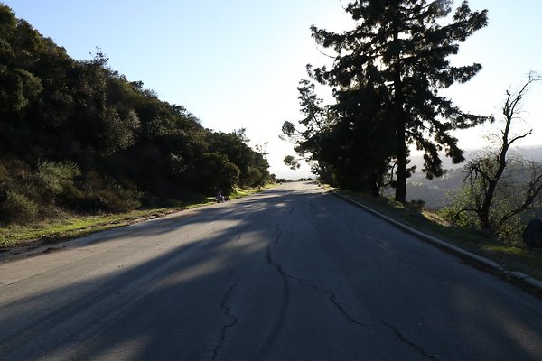 mt-hollywood-dr 075