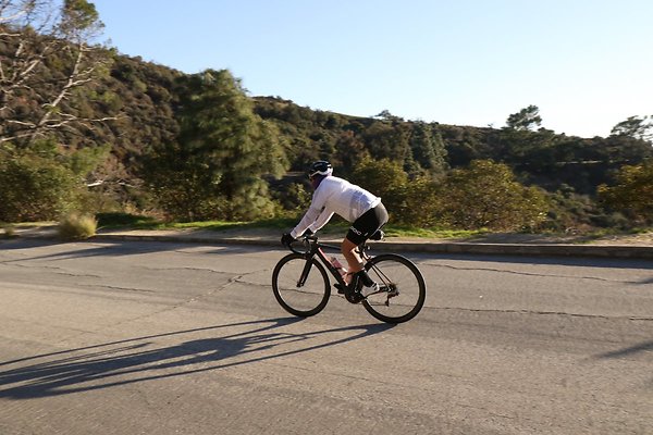 mt-hollywood-dr 065