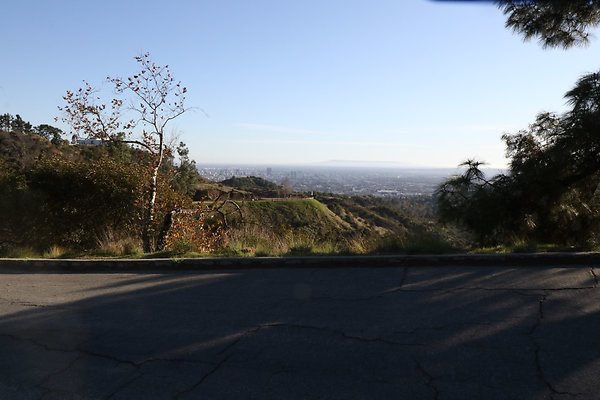 mt-hollywood-dr 012