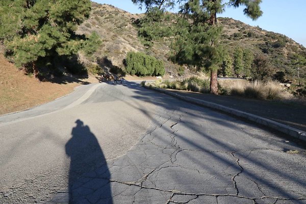 mt-hollywood-dr 036