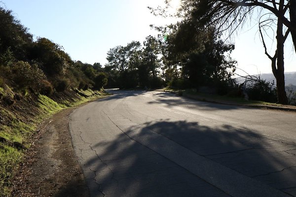 mt-hollywood-dr 054
