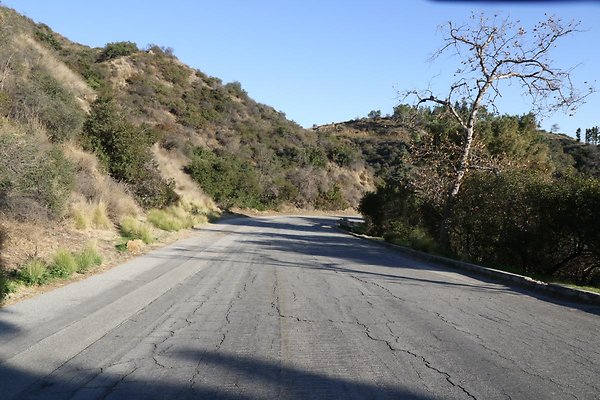 mt-hollywood-dr 011