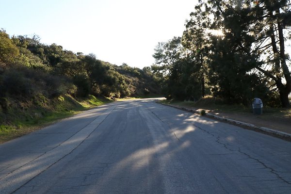 mt-hollywood-dr 051