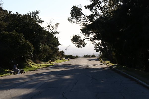 mt-hollywood-dr 076