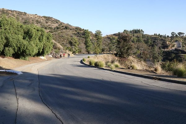 mt-hollywood-dr 028