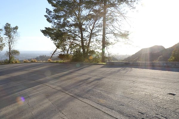 mt-hollywood-dr 099