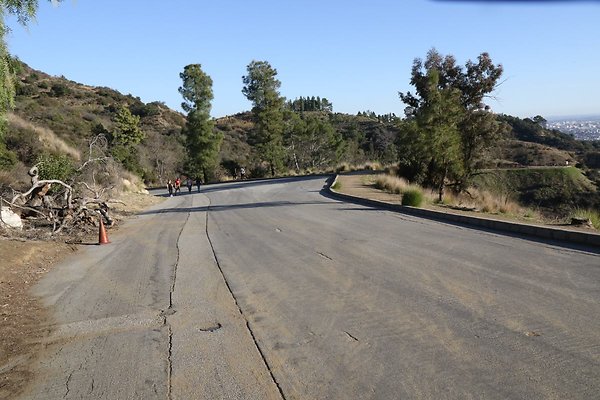mt-hollywood-dr 025