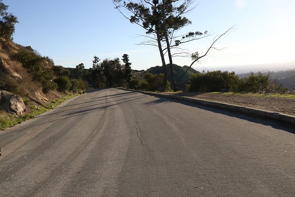 mt-hollywood-dr 074