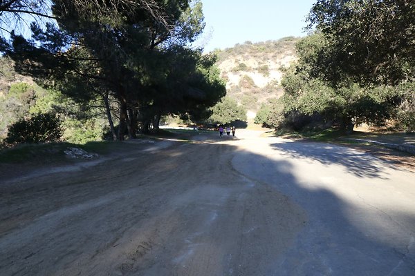 mt-hollywood-dr 086