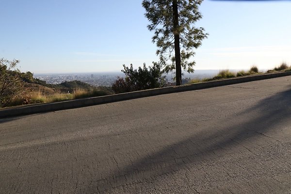 mt-hollywood-dr 023