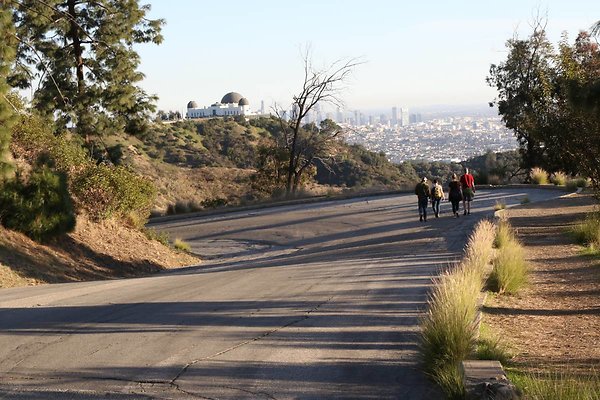 mt-hollywood-dr 095