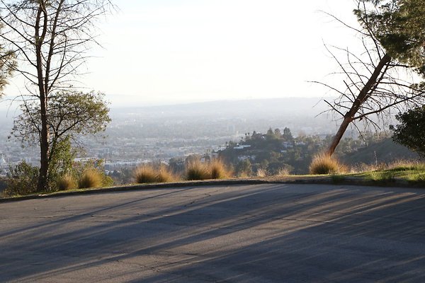 mt-hollywood-dr 100