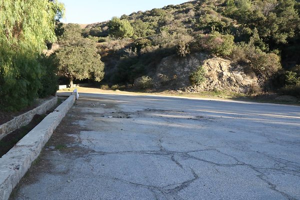 mt-hollywood-dr 085