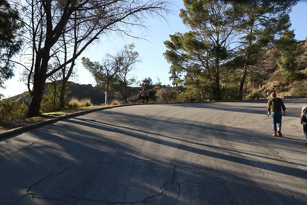 mt-hollywood-dr 009