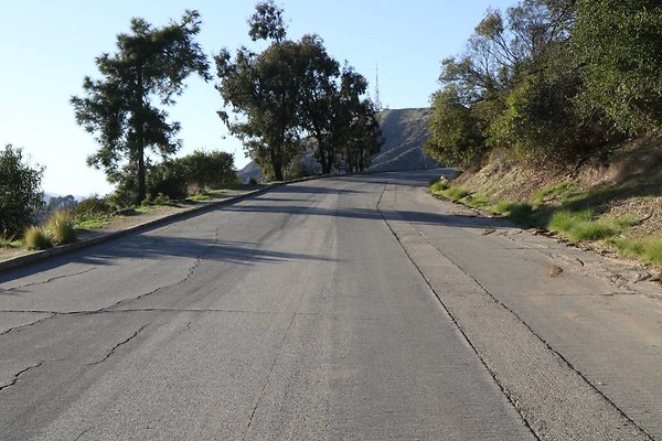mt-hollywood-dr 061