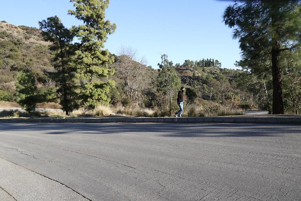 mt-hollywood-dr 022