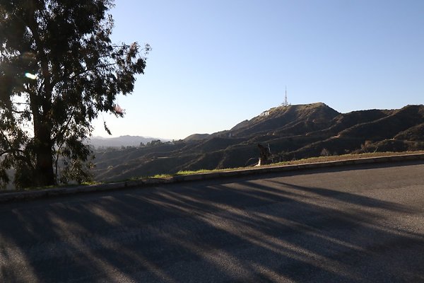 mt-hollywood-dr 069