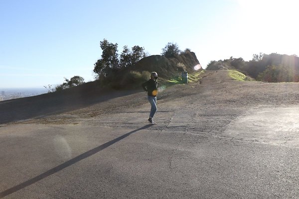 mt-hollywood-dr 042