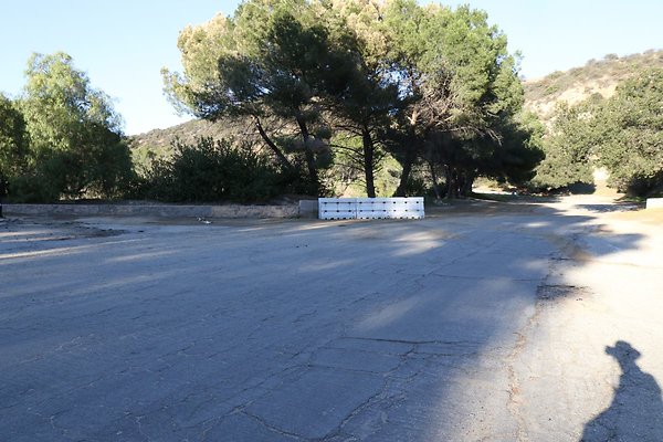 mt-hollywood-dr 081