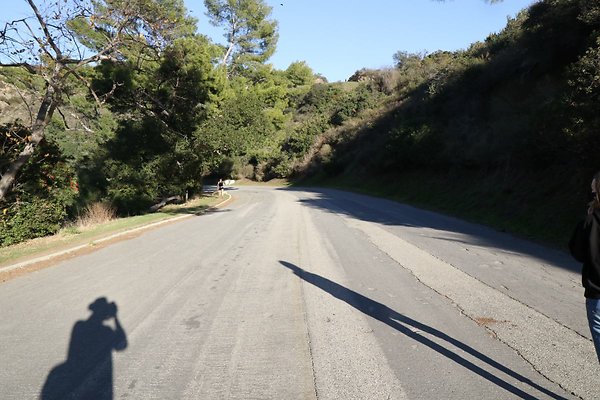 mt-hollywood-dr 049