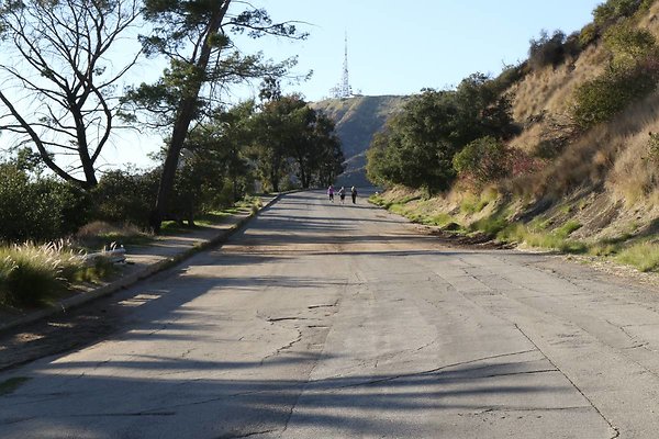 mt-hollywood-dr 058