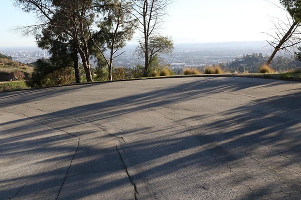 mt-hollywood-dr 020