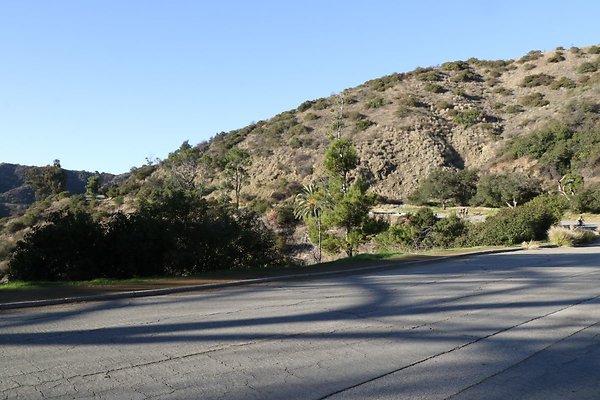 mt-hollywood-dr 053