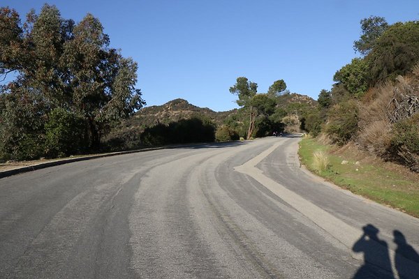 mt-hollywood-dr 073