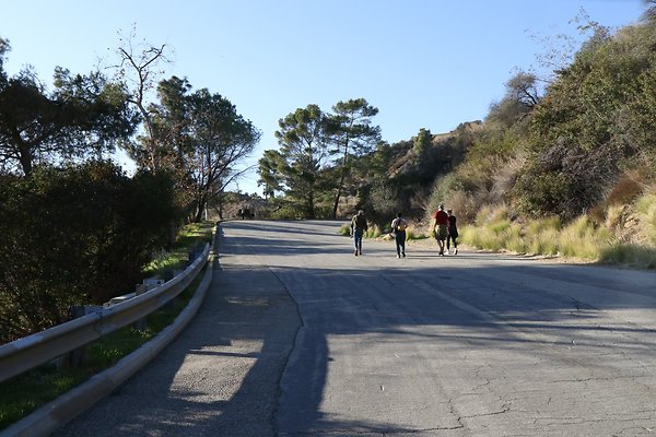 mt-hollywood-dr 008