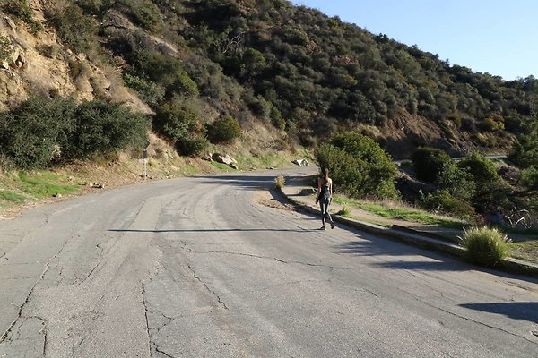 mt-hollywood-dr 060