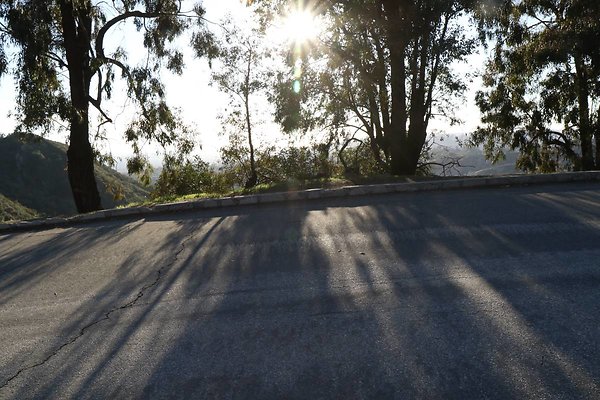 mt-hollywood-dr 068