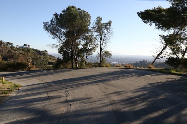 mt-hollywood-dr 018