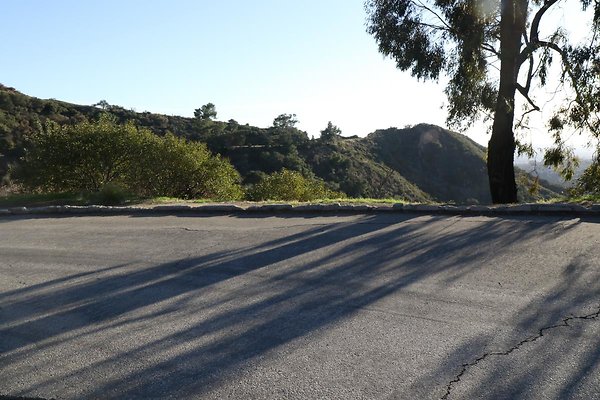 mt-hollywood-dr 067