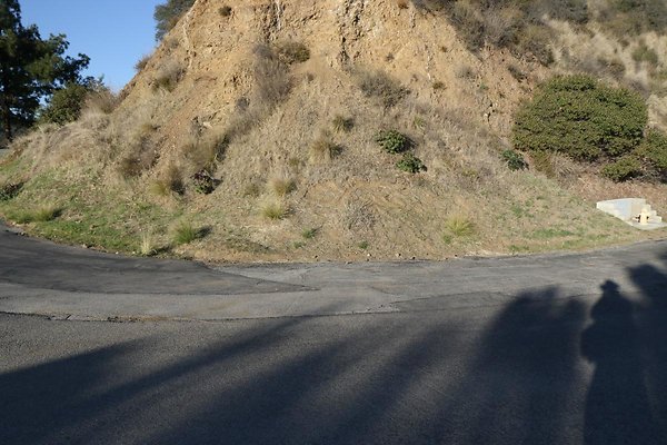 mt-hollywood-dr 038