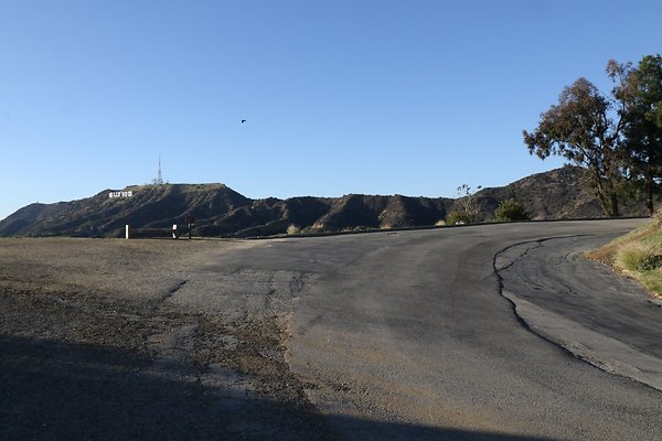 mt-hollywood-dr 037