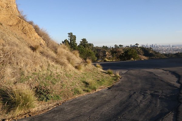 mt-hollywood-dr 091