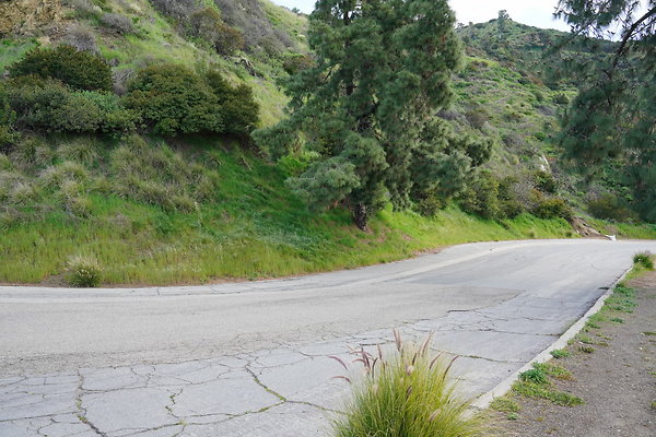 mt-hollywood-dr-2024-144