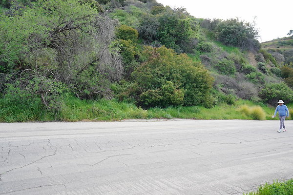 mt-hollywood-dr-2024-108