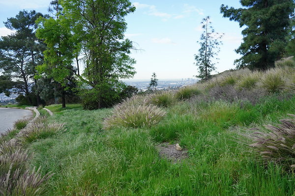 mt-hollywood-dr-2024-114