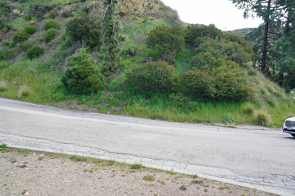 mt-hollywood-dr-2024-130
