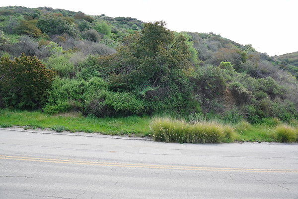 mt-hollywood-dr-2024-124