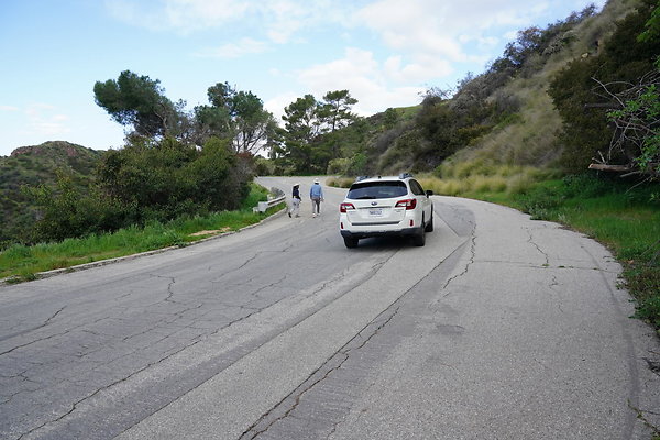 mt-hollywood-dr-2024-111