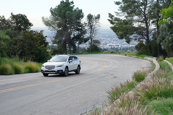mt-hollywood-dr-2024-116
