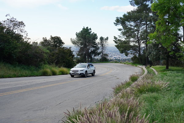 mt-hollywood-dr-2024-115