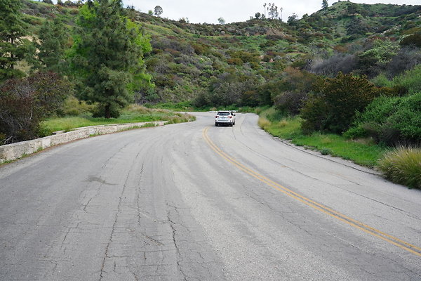 mt-hollywood-dr-2024-128